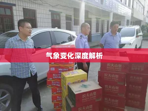 明天固始天气展望，气象变化深度解析