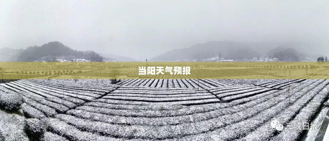 下载当阳天气预报，掌握天气变化，助力生活准备