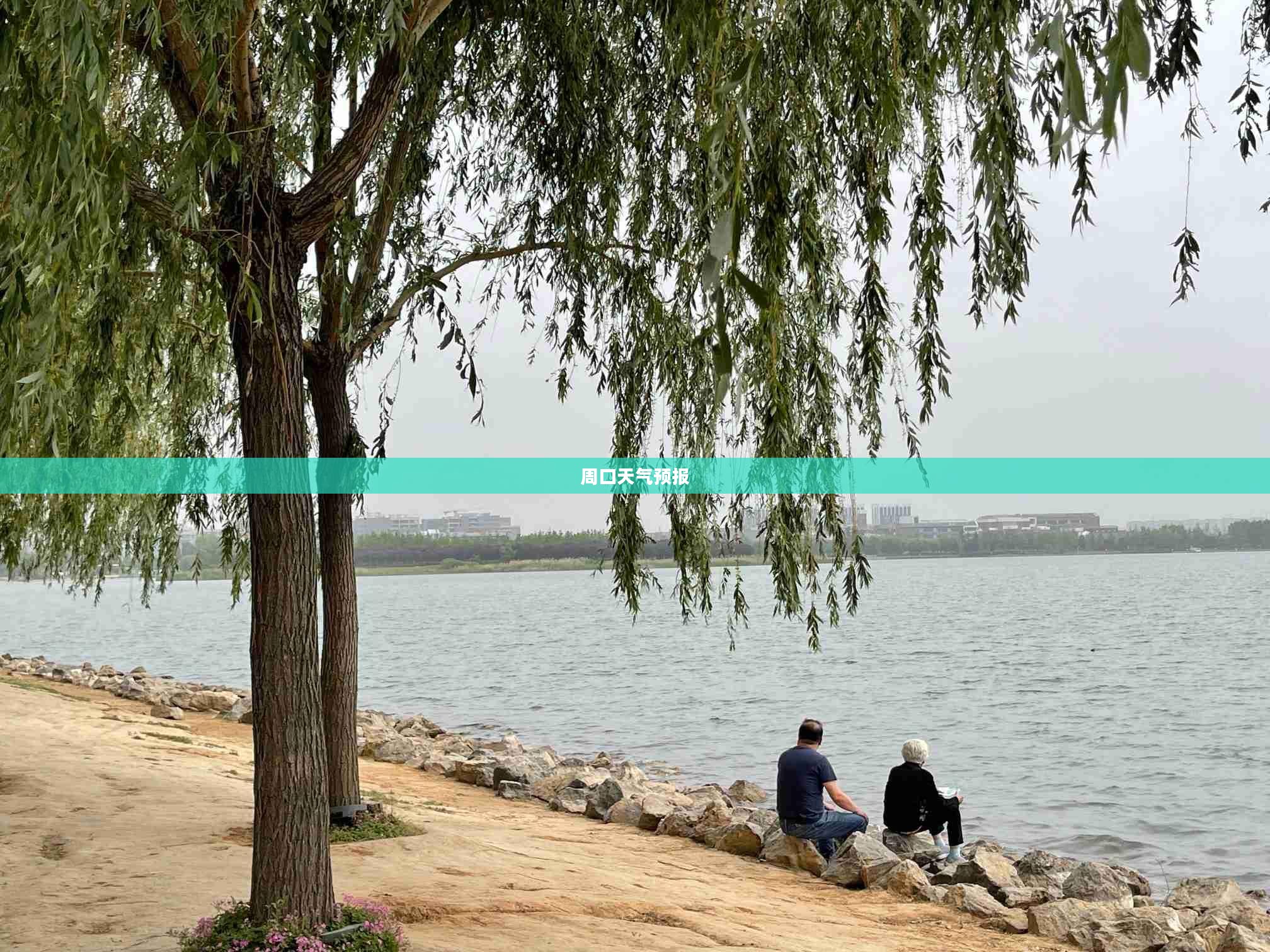 周口未来三十天气预报概览 周口未来三十天气预报概览