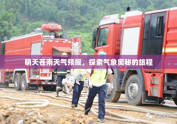 明天苍南天气预报，探索气象奥秘的旅程