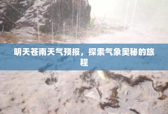 明天苍南天气预报,探索气象奥秘的旅程 明天苍南天气预报,探索气象奥秘的旅程