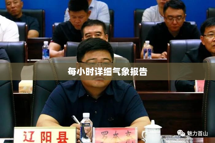 辽阳天气预报，每小时详细气象报告