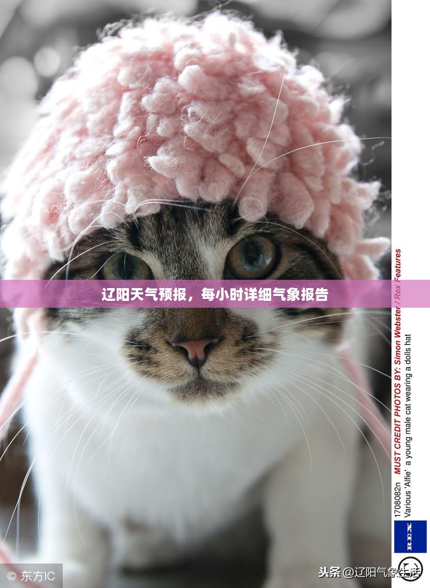 辽阳天气预报,每小时详细气象报告 辽阳天气预报,每小时详细气象报告