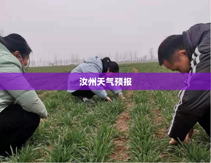 汝州天气预报，气象变化及未来展望