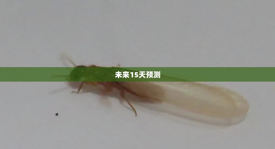 广东广州未来15天天气预报预测