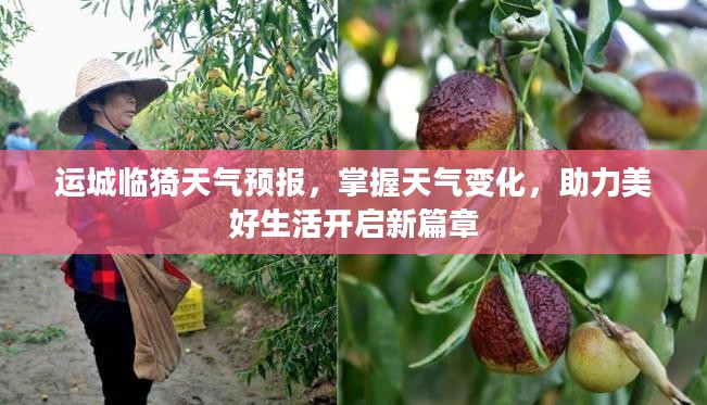 运城临猗天气预报，掌握天气变化，助力美好生活开启新篇章