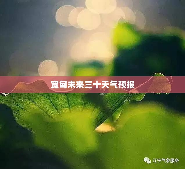 宽甸未来三十天气预报，气象变化预测及应对策略揭晓