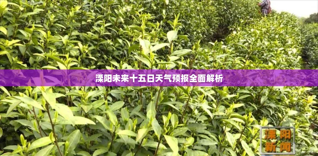 溧阳未来十五日天气预报全面解析