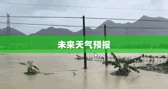 铜鼓旅游指南及未来天气预报概览