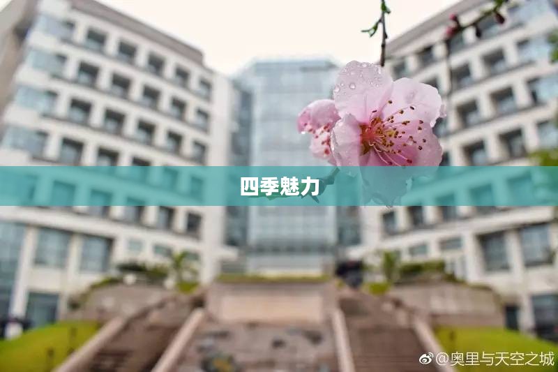 福州天气的四季魅力探索
