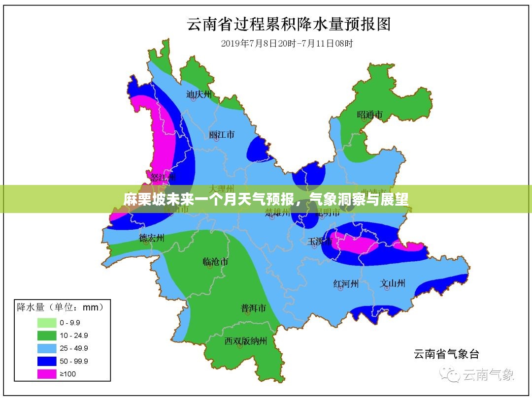 麻栗坡未来一个月天气预报，气象洞察与展望