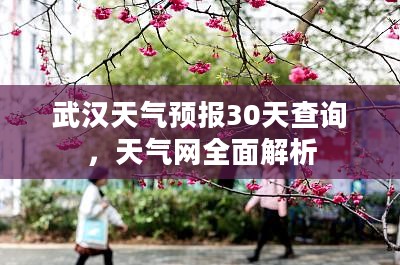武汉天气预报30天查询，天气网全面解析