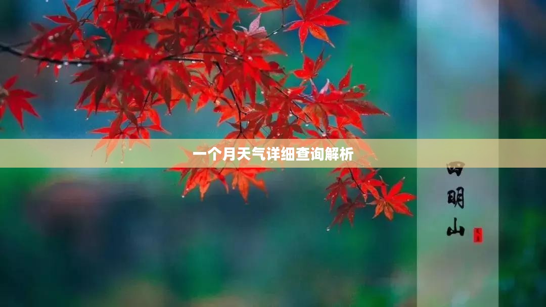 宁波一个月天气详细查询解析 宁波一个月天气详细查询解析
