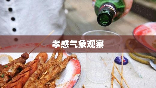孝感三十天气象观察与体验之旅 孝感三十天气象观察与体验之旅