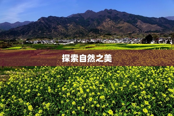 绩溪上庄天气预报，探索自然之美，气象预测助力畅游未来