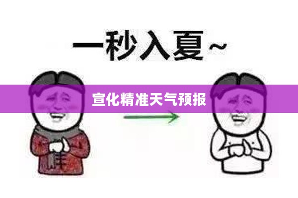 宣化精准天气预报，助力生活与工作，掌握天气变化动态