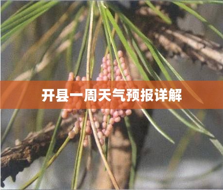 开县一周天气预报详解