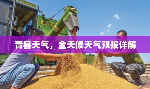 青县天气，全天候天气预报详解