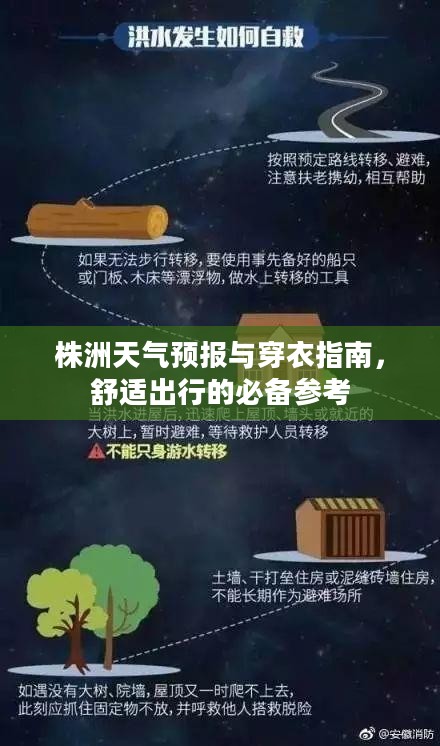 株洲天气预报与穿衣指南，舒适出行的必备参考