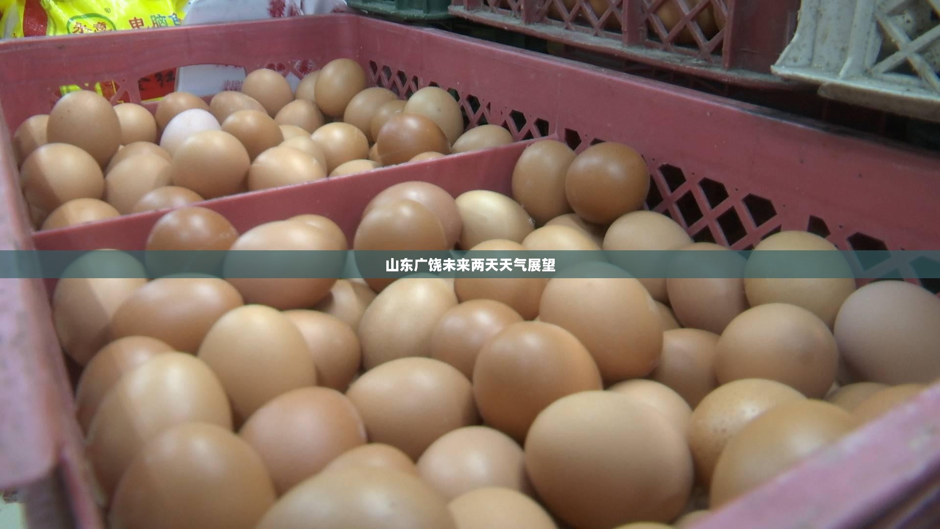 山东广饶未来两天天气展望