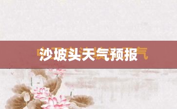 沙坡头未来15天天气预报概览