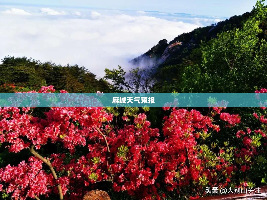 麻城天气预报，全天候掌握未来天气动态