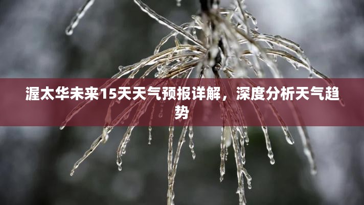 渥太华未来15天天气预报详解，深度分析天气趋势