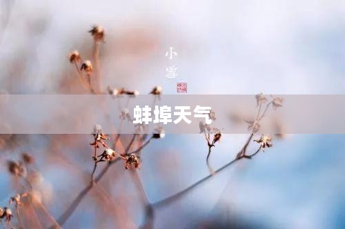 蚌埠未来15天天气预报展望