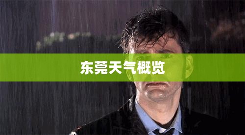 东莞最近一周天气概览，气象分析与展望