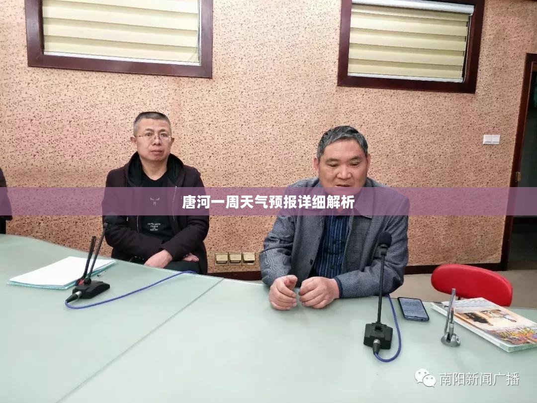 唐河一周天气预报详细解析