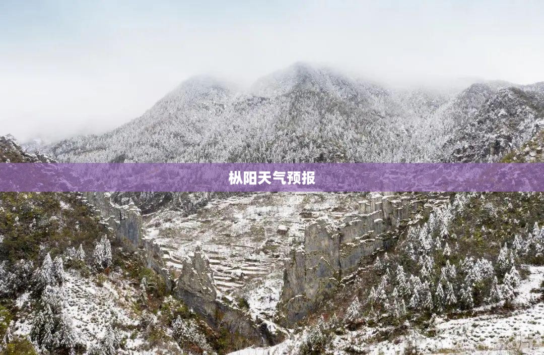 枞阳未来30天天气预报详解，气象变化早知道，生活准备更充分