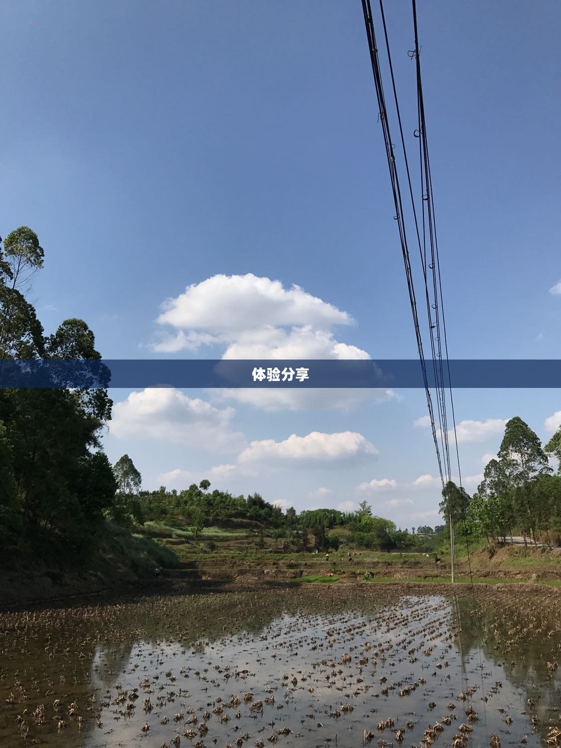 犍为天气深度解析与体验分享,30天详细报告 犍为天气深度解析与体验分享,30天详细报告