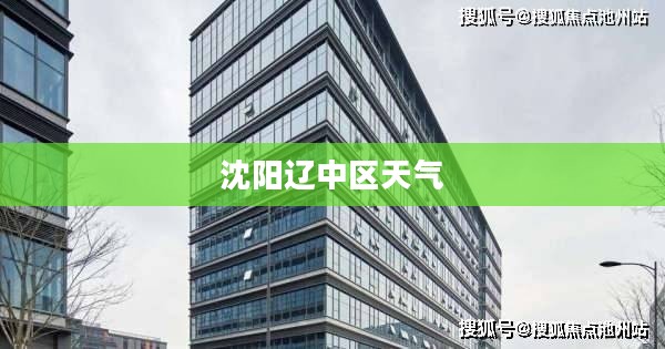 沈阳辽中区天气深度解析与探讨