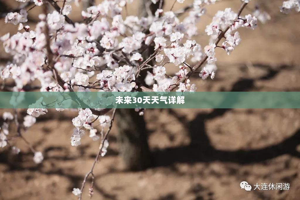 庄河未来30天天气预报详解