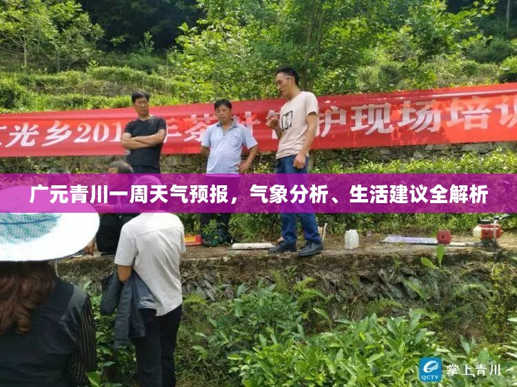 广元青川一周天气预报，气象分析、生活建议全解析