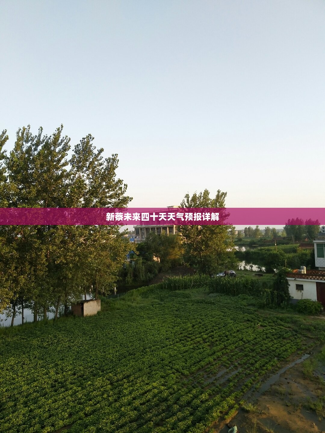 新蔡未来四十天天气预报详解