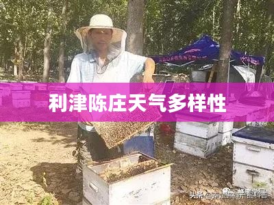 利津陈庄天气的多样性与魅力探索 利津陈庄天气的多样性与魅力探索