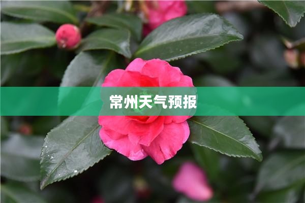 常州天气预报，信赖之选，深度解析60天精准预测