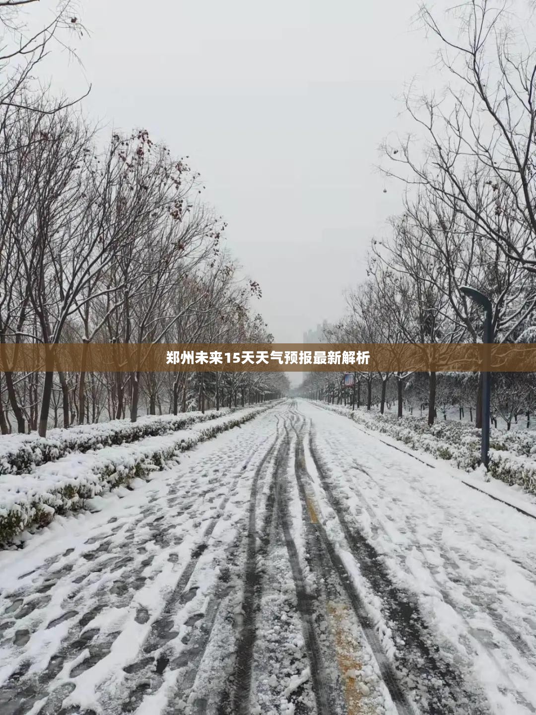 郑州未来15天天气预报最新解析