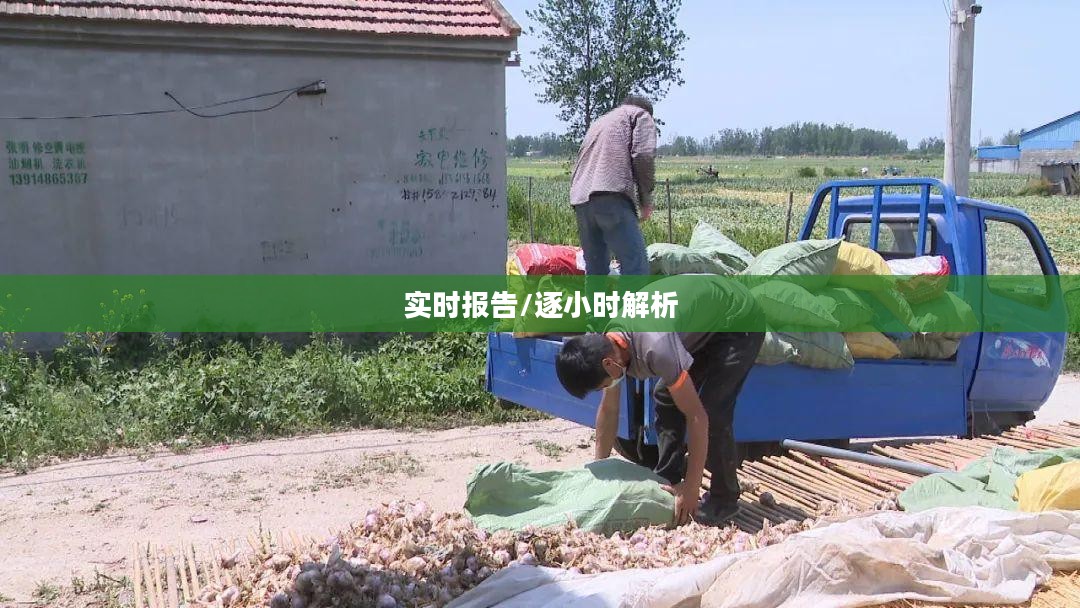 邳州天气实时报告，24小时逐小时详细解析