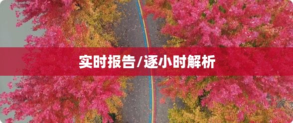 邳州天气实时报告，24小时逐小时详细解析