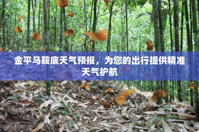 金平马鞍底天气预报，为您的出行提供精准天气护航