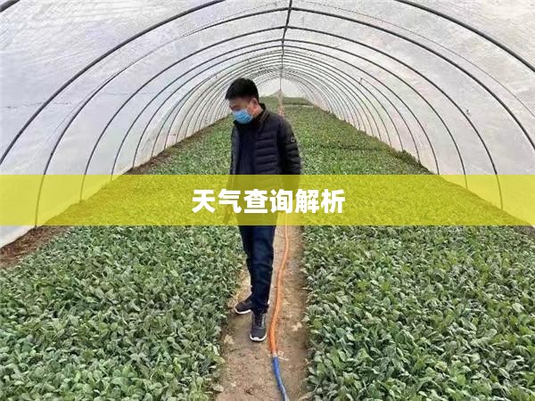太康天气预报，10天与15天详细天气查询解析