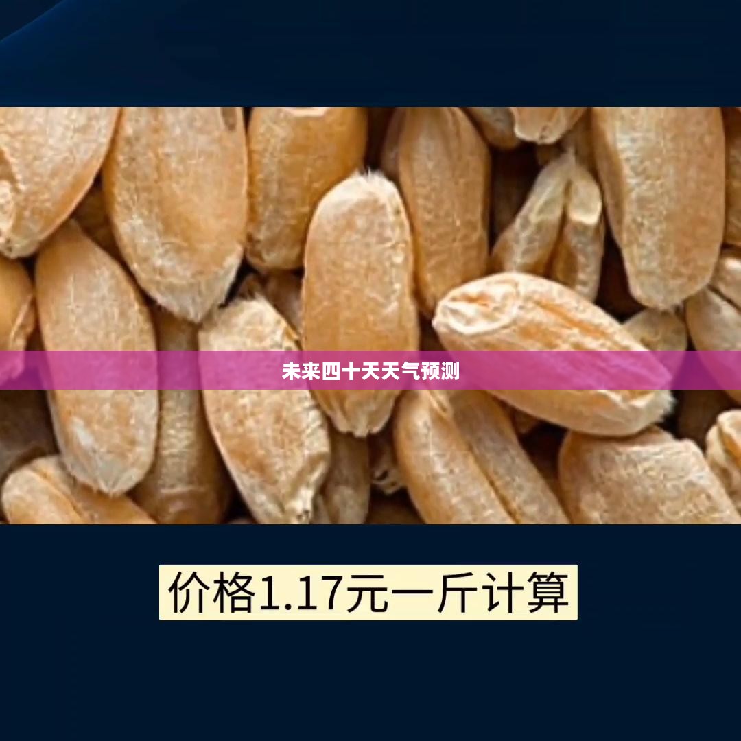 唐河未来四十天天气预报详解