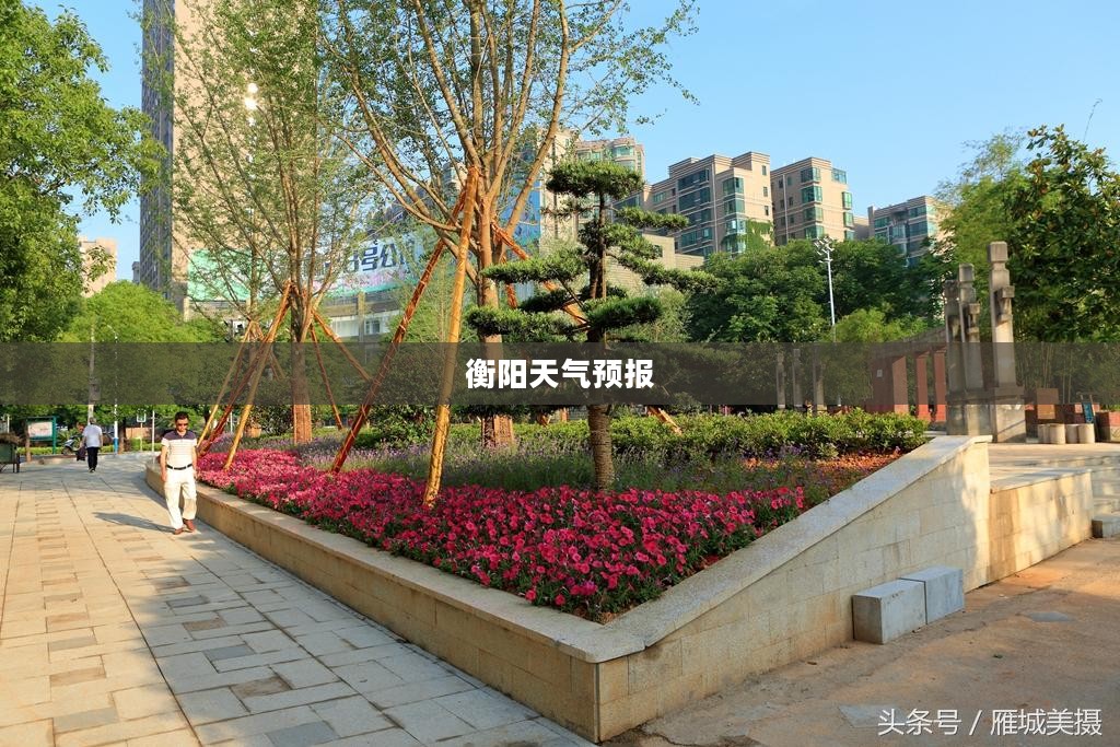 衡阳未来七天天气预报及分析