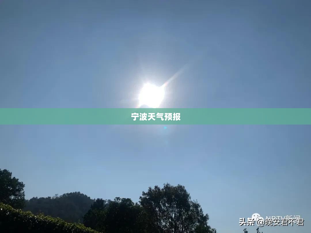 宁波未来15天天气预报，气象洞察与展望