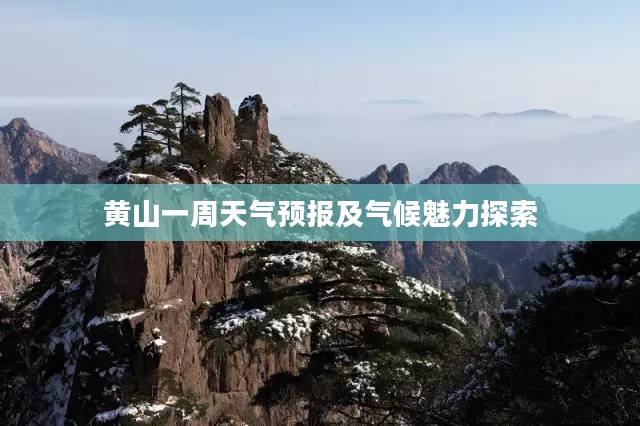 黄山一周天气预报及气候魅力探索