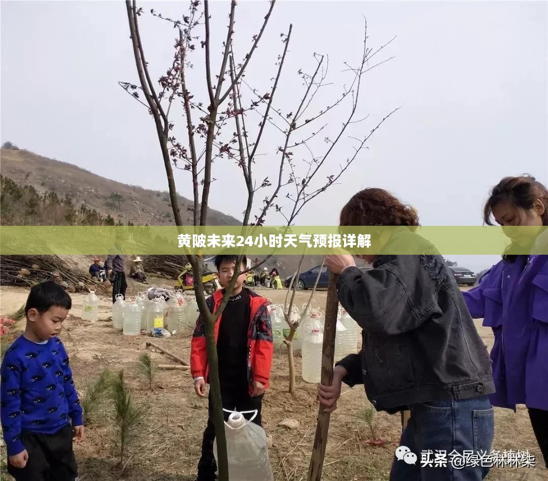 黄陂未来24小时天气预报详解