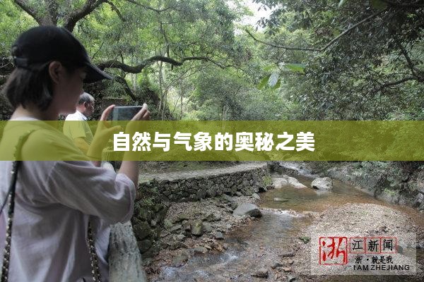 仙居天气预报探索自然与气象的奥秘之美