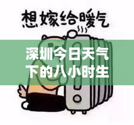 深圳今日天气下的八小时生活纪实